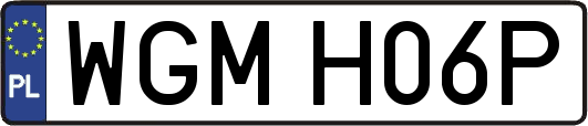WGMH06P
