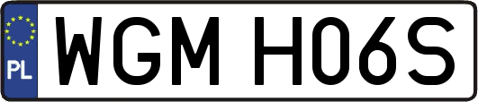 WGMH06S