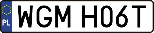 WGMH06T