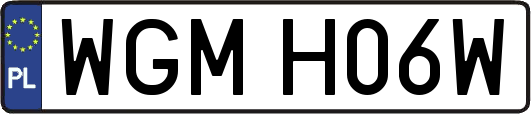 WGMH06W