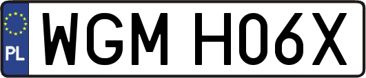 WGMH06X