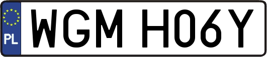 WGMH06Y