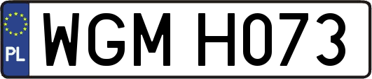 WGMH073