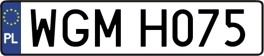 WGMH075