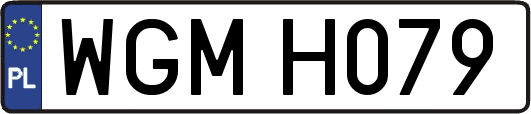 WGMH079