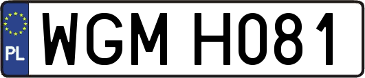 WGMH081