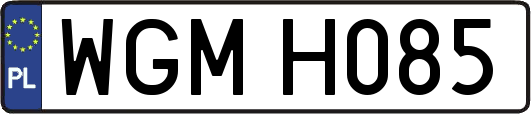 WGMH085