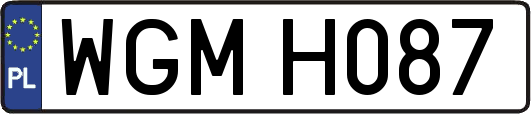 WGMH087