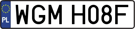 WGMH08F