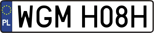 WGMH08H