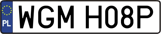WGMH08P