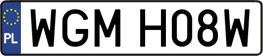 WGMH08W