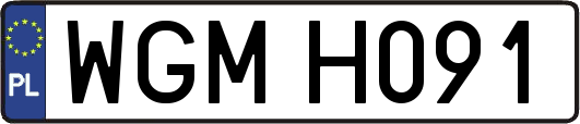 WGMH091