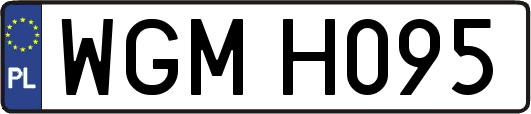 WGMH095