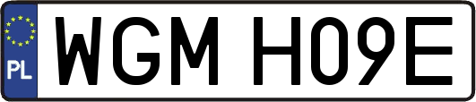 WGMH09E