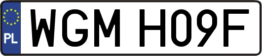 WGMH09F