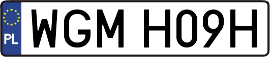 WGMH09H