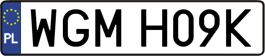 WGMH09K