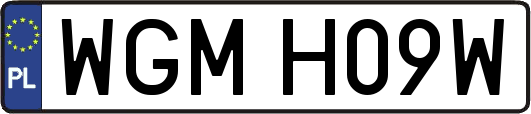 WGMH09W