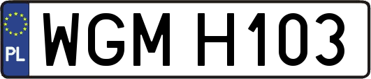 WGMH103