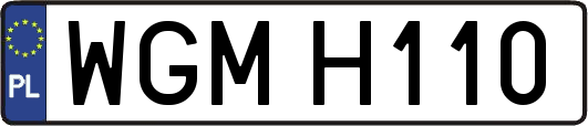 WGMH110