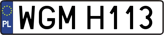 WGMH113