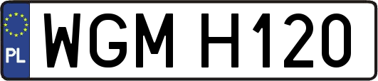 WGMH120