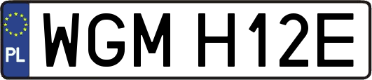WGMH12E