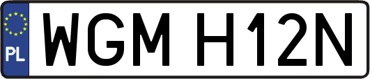 WGMH12N
