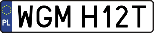 WGMH12T