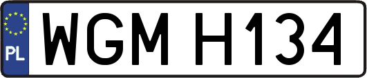 WGMH134