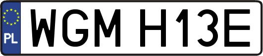 WGMH13E