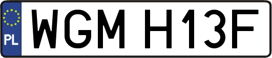 WGMH13F