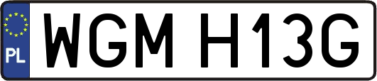 WGMH13G
