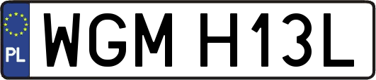 WGMH13L