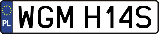 WGMH14S