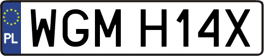 WGMH14X