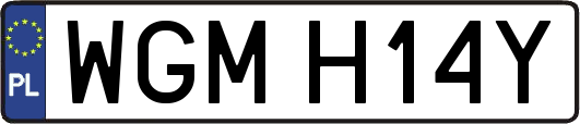 WGMH14Y