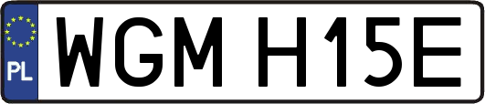 WGMH15E