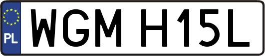 WGMH15L