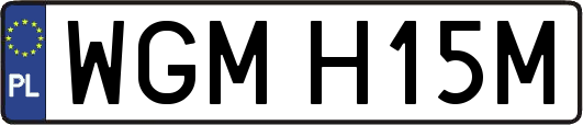 WGMH15M