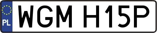 WGMH15P