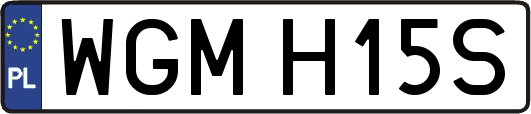 WGMH15S