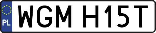 WGMH15T