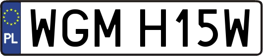 WGMH15W