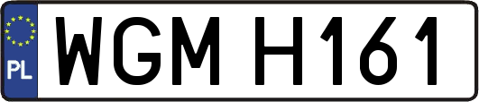 WGMH161