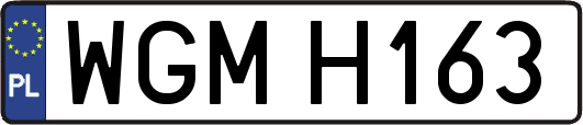 WGMH163