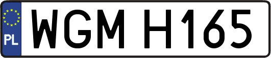 WGMH165