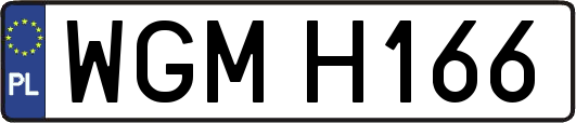 WGMH166