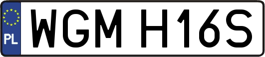 WGMH16S